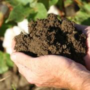Здоровье почвы - это ключ к прибыли и продуктивности вашей фермы