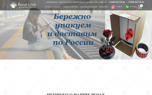 вечная роза вечная роза